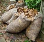 Jute Composting Leaf Sacks - pack of 2