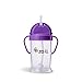 ZoLi Bot Straw Sippy Cup (270 ml, Purple)