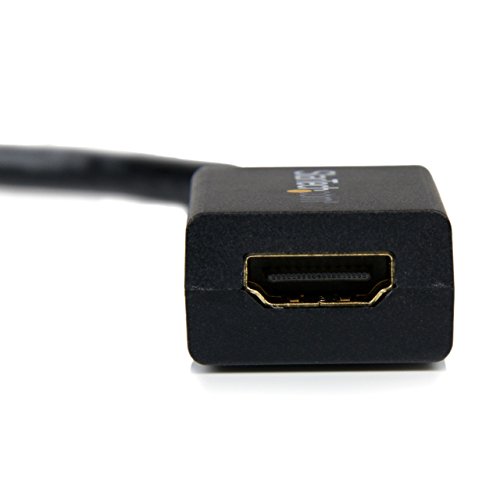 StarTech.com DisplayPort auf HDMI Video Adapter / Konverter (Stecker/Buchse) – DP zu HDMI mit bis zu 1920×1200 – DP / HDMI Länge 25cm - 3
