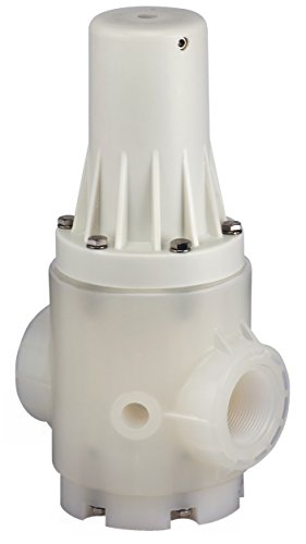 Plast-O-Matic PRHM200V-PP Polypro Pressure Regulator, 2"