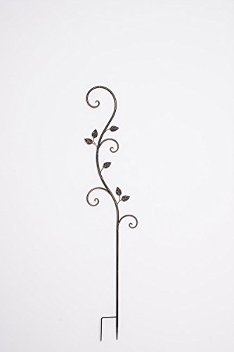 CLP Pflanzen-Rankstab AROSA aus Eisen, Höhe 125 cm, Rankhilfe für Kletterpflanzen bronze - 2