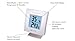NS Associates Digital Thermometer/Hygrometer