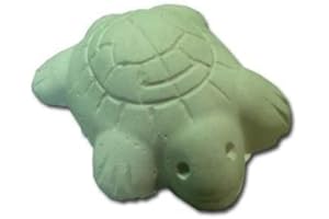 PCMOVILES 20 Tortugas De Calcio Para Tortugas Acuaticas para la formacion osea
