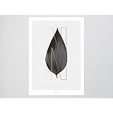 Kunstdruck Poster / ABC Plants – N