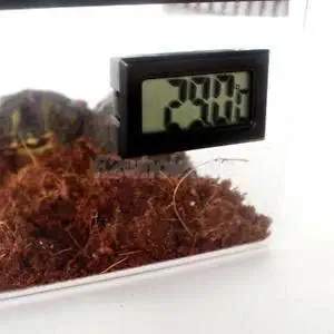 GlobalNiche? Pet Reptile Breeding Box Terrarium for Turtle Lizard Spider Centipede White