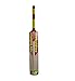 New Balance TC 360 Kashmir-Willow Cricket Bat, Short Handle (Multicolor) RS.1580.00