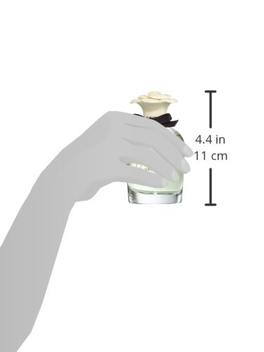 Dolce & Gabbana Dolce femme / woman, Eau de Parfum, Vaporisateur / Spray 75 ml, 1er Pack (1 x 75 ml) - 5