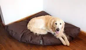 slatters be royal store Rectangular MAT Shape Reversable Dual Brown Color Ultra Soft Ethnic Designer Velvet Bed for Dog/Cat (Export Quality) Size : Medium