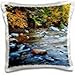 Produktbild - Rivers - USA, Massachusetts, Savoy State Forest. Cold River. - 16x16 inch Pillow Case