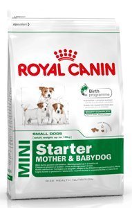 Royal-Canin-Mini-Starter