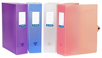 Viquel - Lot de 6 boites de classement en plastique - Lot 6 boites à archive grande capacité - Boites de rangement assorties - Dos de 80 mm