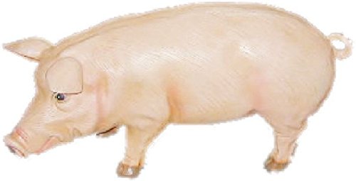 Lebensgroßes Deko-Schwein in XXL