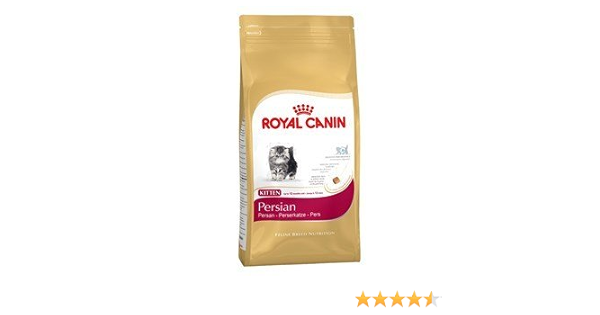 royal canin persian kitten