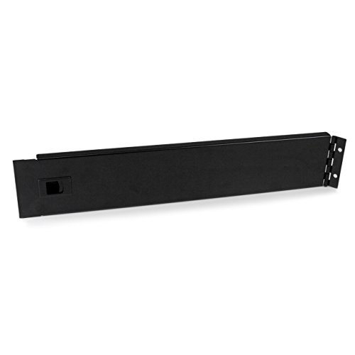 StarTech RKPNLHS2U 2HE Rackblende 48,26 cm (19 Zoll) mit Scharnier