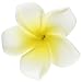 Goege 100 Pcs Diameter 2.4 Inch Artificial Plumeria Rubra Hawaiian Flower Petals For Wedding Party Decoration RS.1909.00
