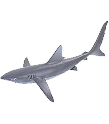 Collecta Requin Mako 88679 – Figurine Marine Peinte à La Main, 13 Cm, Réaliste Et Détaillée