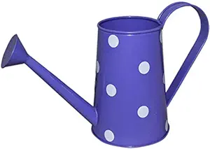 A S Handicrafts Watering Can for Plants 2 litres (Blue)
