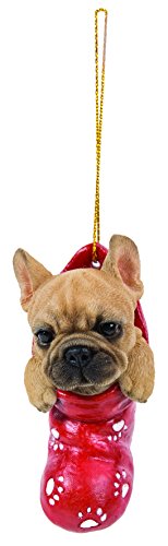 Hanging Christmas Stocking Pet Pals Colgante de Navidad, calcetín para Mascotas, Artes vivas, Bulldog francés (BG-PP11-G)