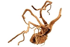 Amtra Legno Red Wood - Taglia L 45-70 cm, Decorazione in Legno Naturale per Acquari, Tronco naturale ornamentale, Accessorio arredo decorativo per Terrari