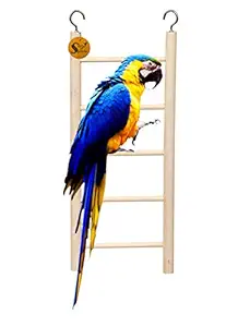 Sage Square Playful Natural Wooden Climbing Ladder Toy for Exercise & Fun || with Hooks to Hang on || for Birds, Parrot, Budgies and Other Small, Medium Large Bird || 5 Level / 26cm