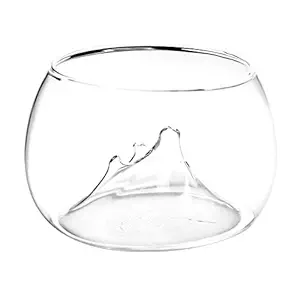 STORE99? Clear Rockery Flower Glass Vase Planter Fish Tank Aquarium Home Decoration