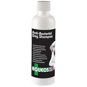 Aqueos Antibacteriano/Anti-Itch Perro champú