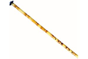 SALA MUZIK Türkische Ney Nay Flöte Woodwind Musikinstrument AKN-201 (D (Supurde Ney))