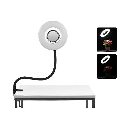 Preisvergleich Produktbild LIUYUNE,LED-Videoleuchte für 8-Zoll-5500K-Tischplatten(Size:Uns)