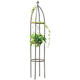 Suchergebnis auf Amazon.de für: spalier: Garten