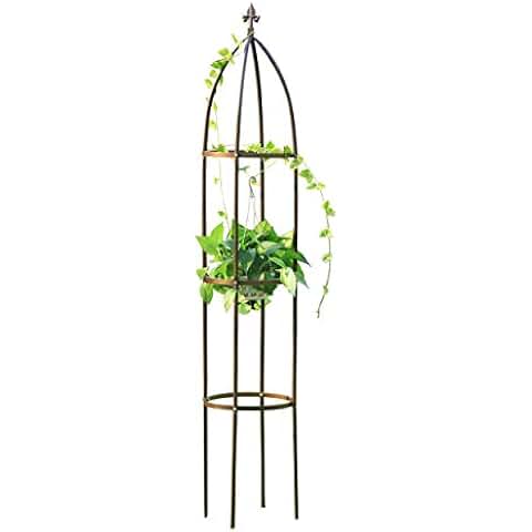 Suchergebnis auf Amazon.de für: spalier: Garten