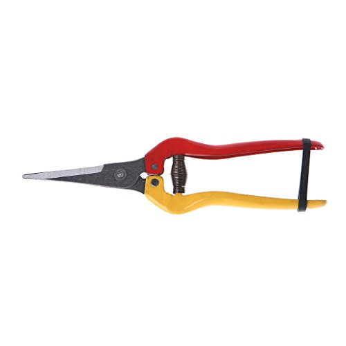 Preisvergleich Produktbild Kalttoy Gartenschere mit gerader Klinge, Gartenschere