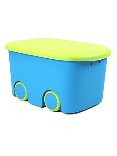 Plastiken (HLKRQ) Kids Fresh - Caja de Almacenamiento, Azul y Pistacho, 58x38x32 cm, 1 unidad