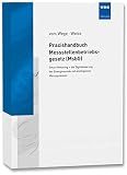 Praxishandbuch Messstellenbetriebsgesetz (MsbG): Smart Metering - die Digitalisierung der Energiewende mit intelligenten Messsystemen by 