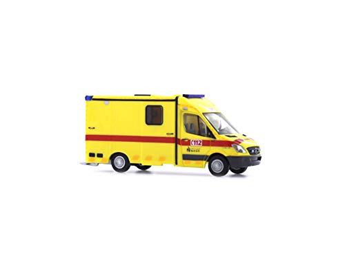 Reitze Rietze - 156.959,3 cm Strobel Rtw Ambulance Van Model