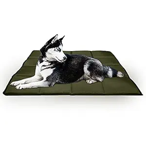 Amazon Brand - Umi Waterproof Canvas Fabric Flat Pad Cat Dog Pet Bed (L, Green)