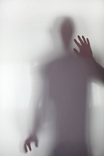 Fenster Michlgasfolie 200 x 120cm frosted Tönungsfolie Sonnenschutz Fensterfolie Milchglas Folie