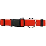 Wolters Cat&Dog Basic 35703 Halsband Gr.S 18-30cm rot