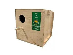 Nature Care Breeding Box Bird Nest(8x8 Inches) with Perch for Lovebird Standard Balcony Birds Best Return Gift for Kids (NCBHS06A)
