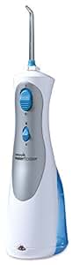 boots power flosser
