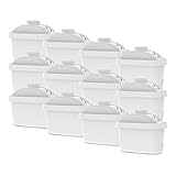 Recomendamos que los cartuchos Vyair sean reemplazados cada mes para proporcionar un suministro de agua potable con gas.