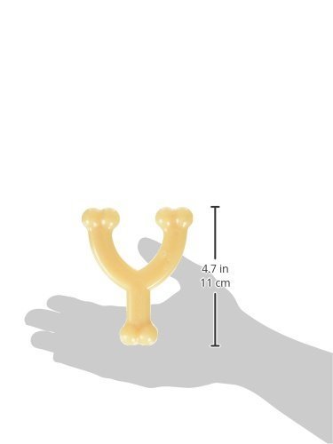 Nylabone-Dura-Chew-Wishbone