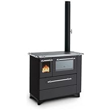 Stufa a legna nordica con forno