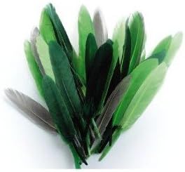 1 Pack of 10 grams of Indian Feather in Blue Green