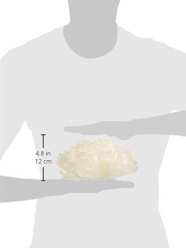 Pom pOMS 3 große 2 kleine creme - 2