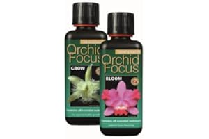 Growth Technology - Focus Range GT- Focus Range For Orchids Chillies,& More Specialist Plants Fruits & Trees (300ml - Orchid Grow & Bloom)