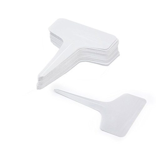 BALFER Plastik Pflanzenstecker Stecketiketten zum Beschriften Pflanzschilder Schilder für Kräuter Gemüse Holz Garten 6*10 CM (Weiß, 50 X “T” Form & 100 X “1” Form Stk) - 4