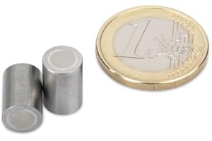 THE MAGNET SHOP magnets4you - AlNiCo-Stabgreifer | Ø 6x10 mm | Haftkraft ca. 200 g | Stahlpassung mit Toleranz h6 | Extrem Hitzebeständig bis zu 450°C