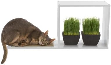 The Sophia Wall Mounted Cat Tree in White