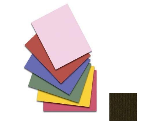 Bazzill Basics Paper 25 ScrapBooking Sheets Canvas Texture, Pinecone