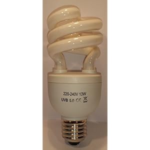 TerraMira 13Watt Spiral Nebula 5.0 UVB Lampe